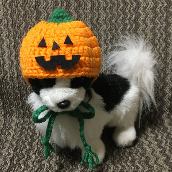 犬用ニット帽❤️カボチャ帽子❤️ハロウィン 1枚目の画像