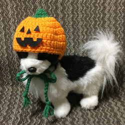 犬用ニット帽❤️カボチャ帽子❤️ハロウィン 2枚目の画像