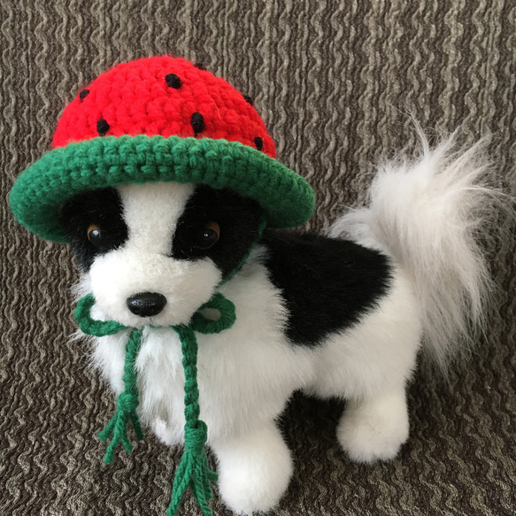 小型犬用帽子♡猫用帽子♡スイカ 1枚目の画像