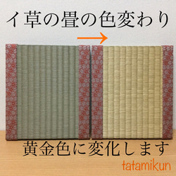 豆畳製作キット04【イ草×蝶】マウスパッド、花台、撮影用飾り台、フォトフレーム 6枚目の画像