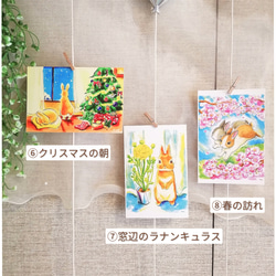 選べる、ポストカード3枚セット　【③mimi】   兎乃真央　 3枚目の画像