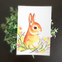 絵画 アートポスター うさぎの横顔 F4サイズ 01 Art_mao その他