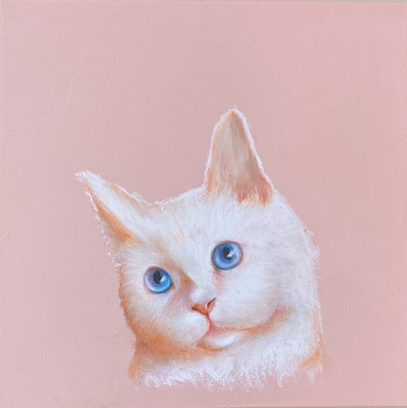 原画販売】白ネコ チョークアート 猫 ペットと暮らす2021 絵画 Sugi