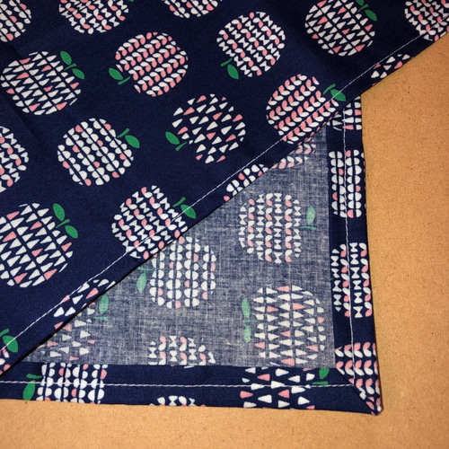 給食セット ランチョンマット ポーチ 給食袋 アロウヘッド 通販