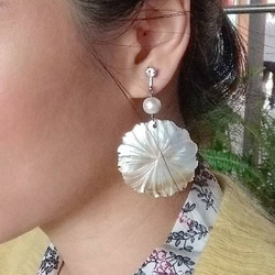 (已售完，不再補貨)月迷津渡 - 珠母貝手工限量耳環 第2張的照片