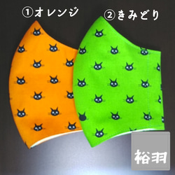 大人用立体マスク・ネコ(①オレンジ・②きみどり) 2枚目の画像