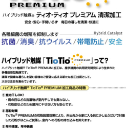 夏マスク  薄手のコットンリネンボイル♪ストライプ 内側にtiotio選択出来るようになりました！ 8枚目の画像