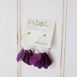 かはゆし♡紫陽花の花びらとコットンパールのフープピアス〜秋紫〜 1枚目の画像