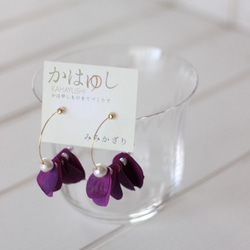 かはゆし♡紫陽花の花びらとコットンパールのフープピアス〜秋紫〜 4枚目の画像