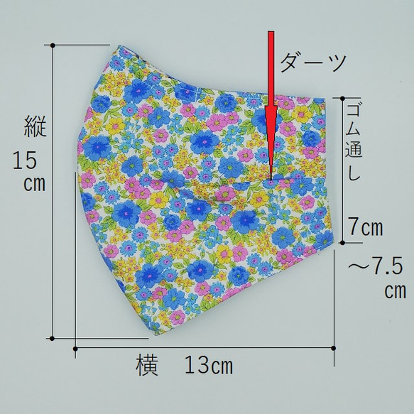  第3張的照片