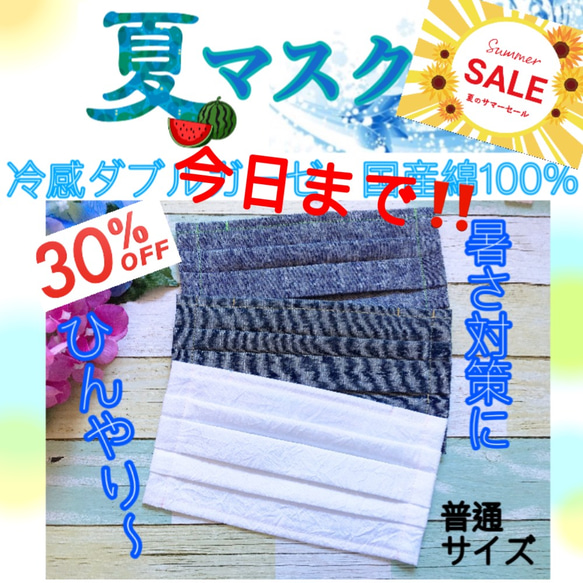 SALE 夏物30%OFF送料無料❗️[夏マスク]冷感ダブルガーゼ　プリーツマスク(ポケット付) 1枚目の画像