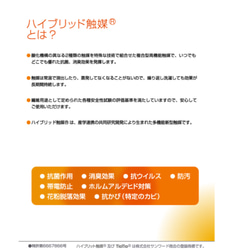 【ご注文お受け致します】TioTio®︎PREMIUM加工生地を一部使用【インナーマスク3枚セット】 4枚目の画像