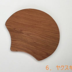 宮崎の樹のコースター２いろいろ＋（センダン、カヤ、サクラ、ツガ、セン、屋久杉） 7枚目の画像