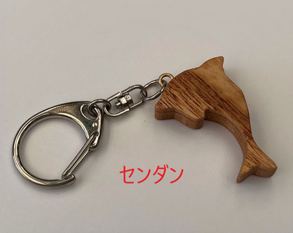 宮崎の樹と海の生き物シリーズ　キーホルダー（イルカ2） 6枚目の画像
