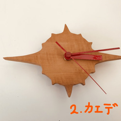 時計　12芒星・ 宮崎の樹 1枚目の画像