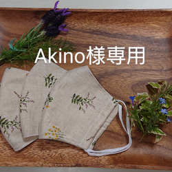 Akino様専用    三重層フィルター入れ付き・立体マスク3枚組 1枚目の画像