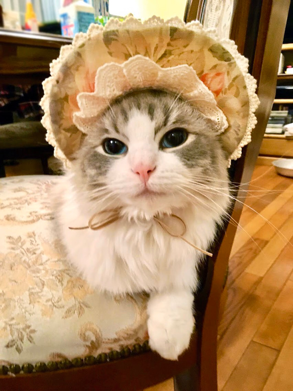 猫用帽子 アンティーク風ボンネット ペット服・アクセサリー