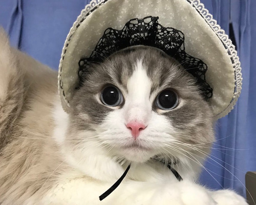 1_5928c3d49eaf266c232fb02eb0ed