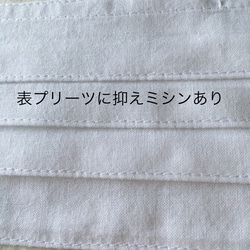 《送料無料》　夏マスク　ポケット付き　プリーツマスク ノーズワイヤーが取り外しOK サイドの柄選べます。 3枚目の画像