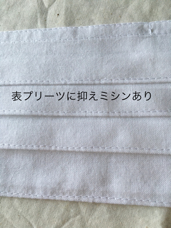 《送料無料》　夏マスク　ポケット付き　プリーツマスク ノーズワイヤーが取り外しOK サイドの柄選べます。 3枚目の画像