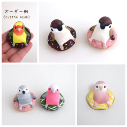 Birds on donut 第8張的照片