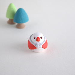 聖誕老公公白文鳥 第1張的照片