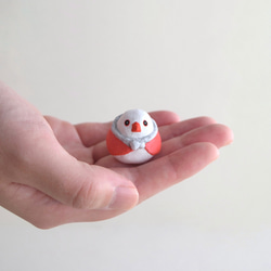 聖誕老公公白文鳥 第2張的照片