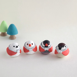 聖誕老公公白文鳥 第3張的照片