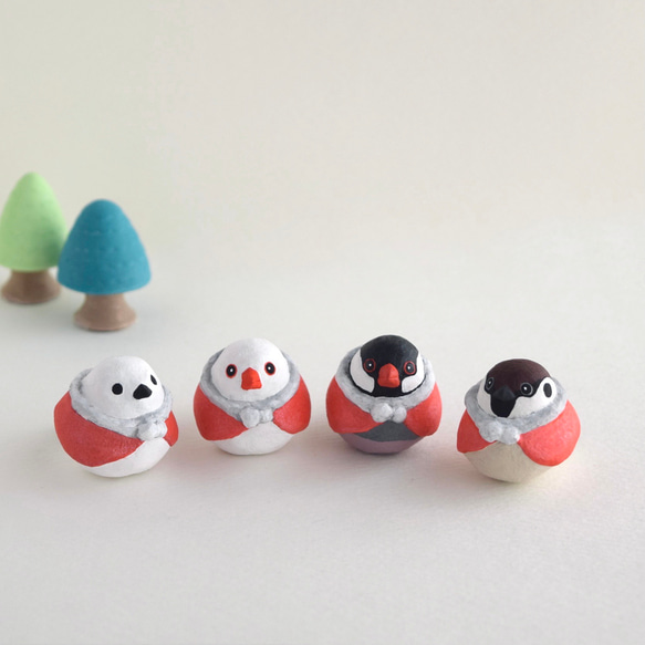 聖誕老公公白文鳥 第3張的照片