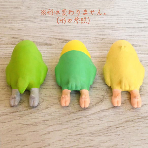 【オーダー】ぺたんこインコシリーズ 4枚目の画像