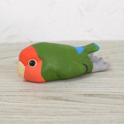 Petanko Kozakura Lovebird [定做] 第3張的照片