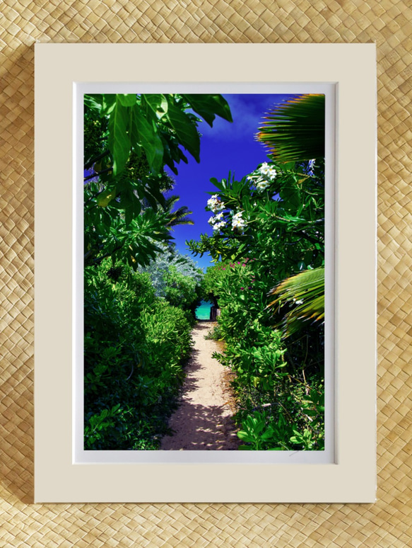 「ラニカイへの小道」2度と出合えない一番美しいラニカイビーチへ続く小道 A4マットフレーム作品 ハワイの風景写真 1枚目の画像