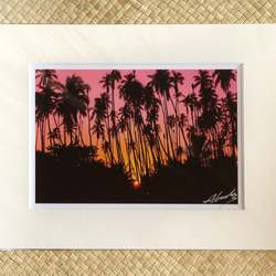 アート写真【A3サイズ】ORANGE JOURNEY（オレンジの旅）木製額入り アート写真【A3サイズ】ORANGE JOURNEY（オレンジの旅）木製額入り