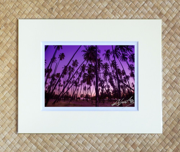 「カプアイワ ココナッツ グローブ」夕陽に染まるモロカイ島の１０００本ヤシ ８×１０マットフレーム作品 ハワイの風景写真 1枚目の画像