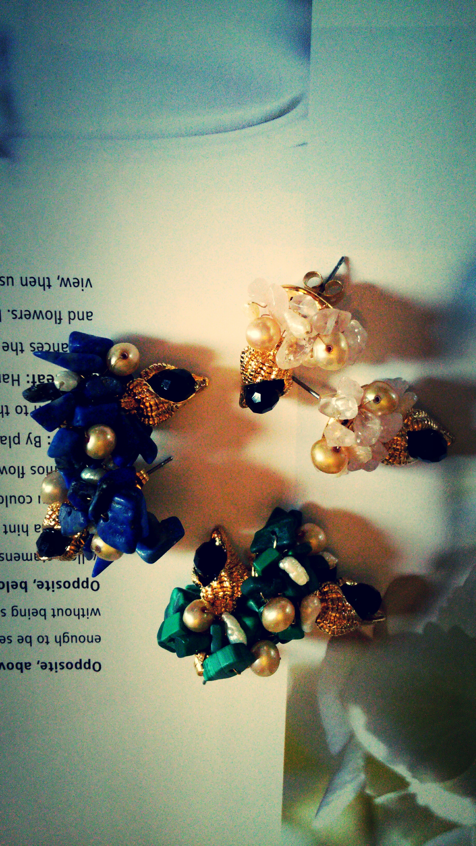 la mer avec le coquillage.