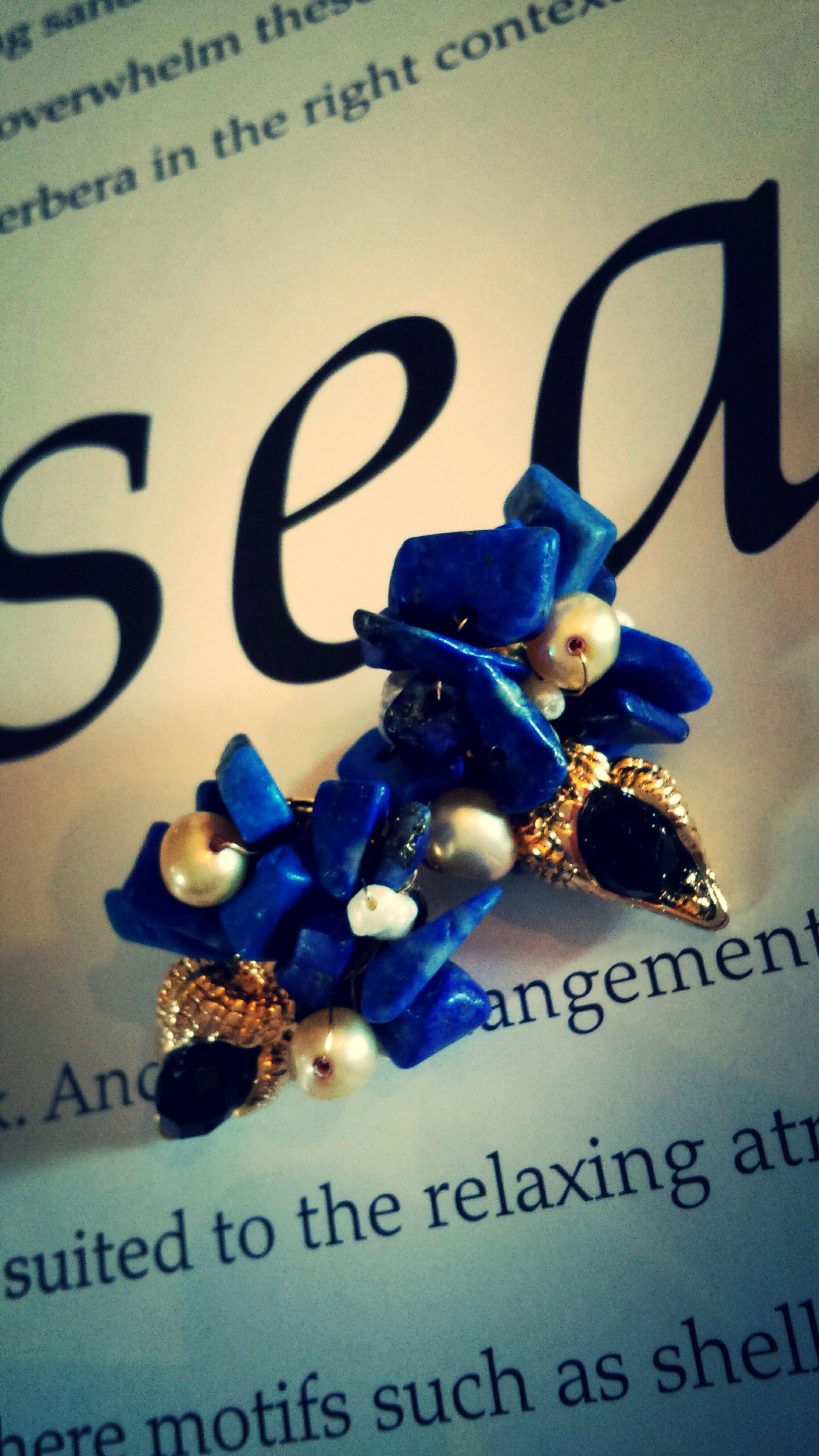 la mer avec le coquillage.