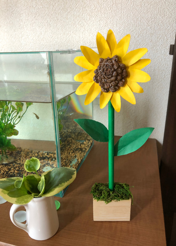 円形 テーブルクロス 夏 ひまわり 蝉 オリーブ せみ 松ぼっくり 【公式