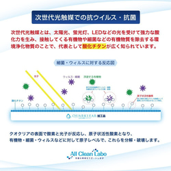  第9張的照片