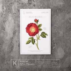 【1枚】真っ赤なポピーの花のワッペン 刺繍 アップリケ 1枚目の画像