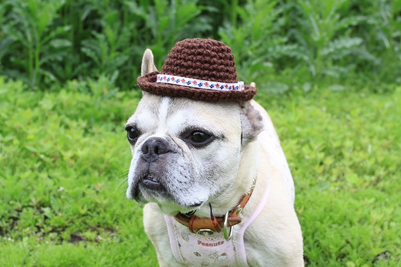 バカンスHat*ダークブラウン*レトロフラワー 1枚目の画像