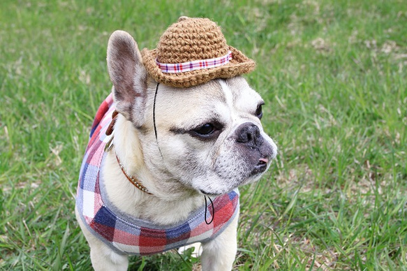 バカンスHat*ブラウン*赤チェック 1枚目の画像