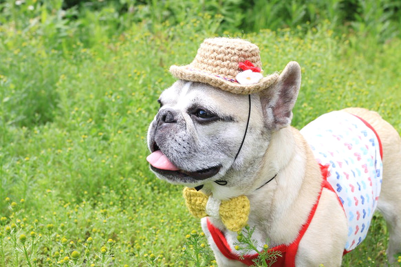 トロピカルHat*ホワイトフラワー 5枚目の画像