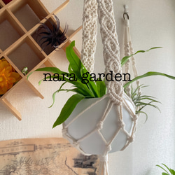 プラントハンガー　マクラメ　クロス 1枚目の画像
