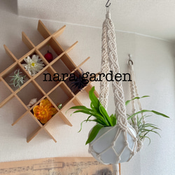 プラントハンガー　マクラメ　クロス 5枚目の画像