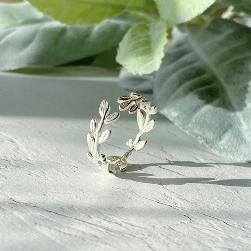 全体型 ❊ 月桂樹ラッキーモチーフリングsilver925 ❊身につけて 全体型 ❊ 月桂樹ラッキーモチーフリングsilver925 ❊身につけて