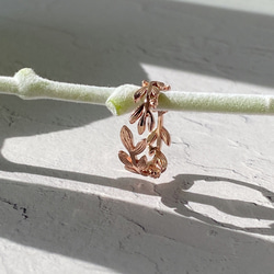 全体型 ❊ 月桂樹ラッキーモチーフリングピンクゴールド❊身につけていると、幸せになれる✧˖° 9枚目の画像