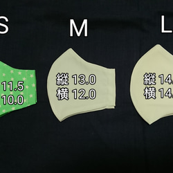 コットン 立体マスク  星柄 子供 大人 3枚目の画像