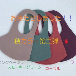 洗えるマスク　コットンマスク　ニットマスク　　お肌に優しいマスク　布マスク　日本製 3枚目の画像