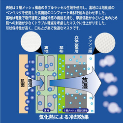 【送料無料】旭化成のベンベルグ使用＊メッシュ素材で張り付きにくい！呼吸が楽なマスク◆肌荒れ対策に◎＊ドライクールマスク白 2枚目の画像