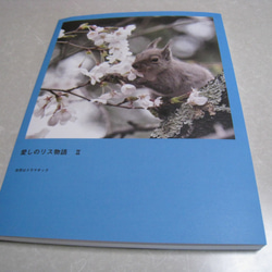 写真集 自然はドラマチック「愛しのリス物語 Ⅱ」 写真・グラフィック